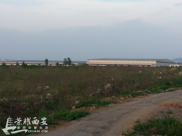 草堂基地BYD的最新动态-城市发展|荣耀西安网