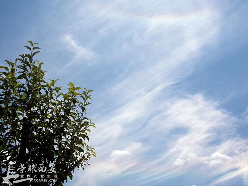 天蓝云白空如洗 心旷神怡默诵经-西安拍客|荣耀