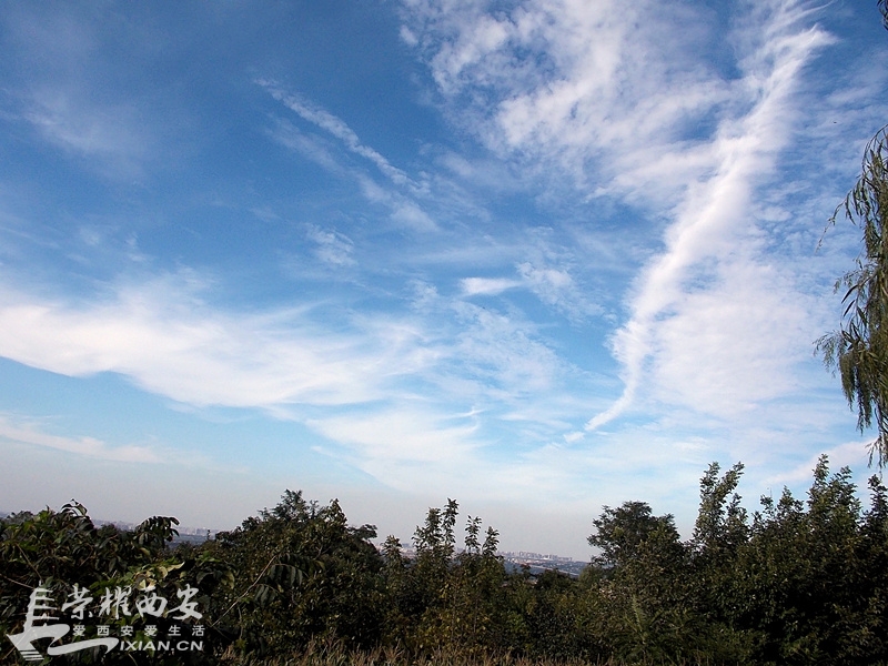 天蓝云白空如洗 心旷神怡默诵经-西安拍客|荣耀