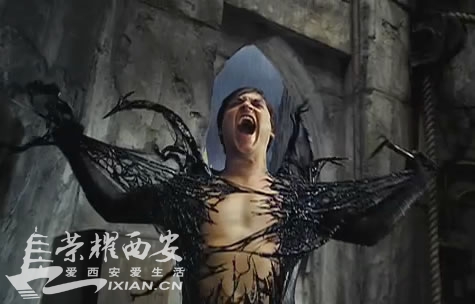 看过其中几部?全球电影票房排行榜TOP100!持