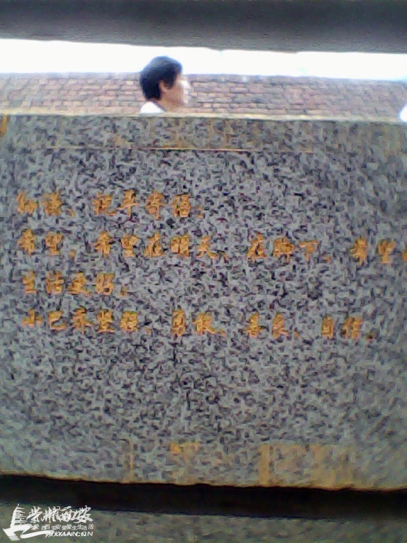 快来看啊!都市快报对我荣耀西安论坛的帖子