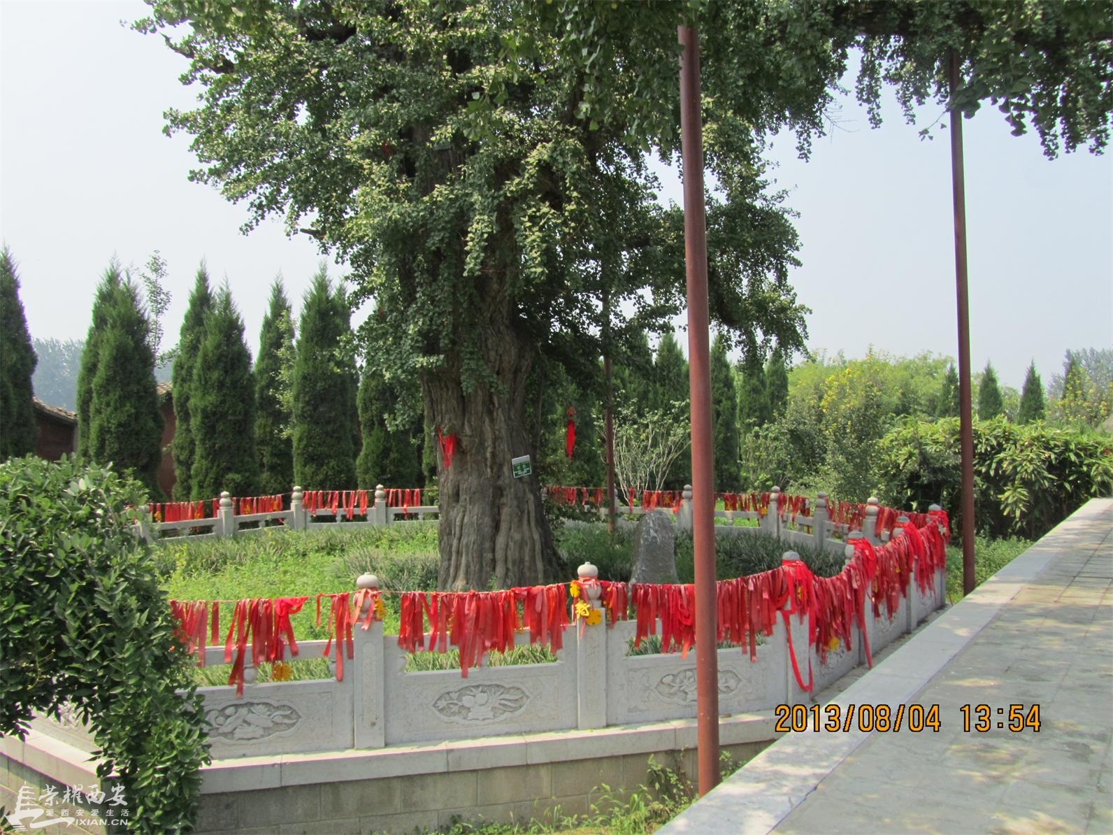 重阳宫一日游-西安拍客|荣耀西安网|西安论坛-爱