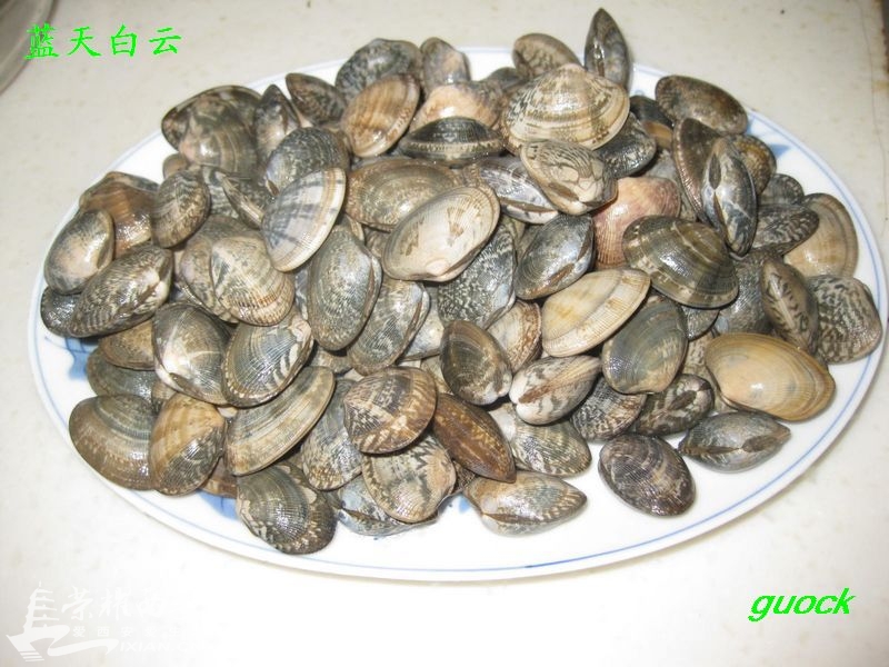 郫县豆瓣酱炒海鲜_郫县川豆瓣酱500g_郫县公交站(2)