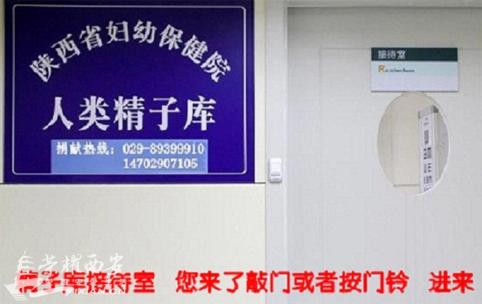 陕西省妇幼保健院精子库招业务员-求职招聘|荣