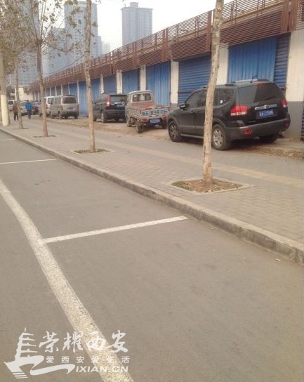 很是不解!很清晰的停车位,也画有横线,交警为什