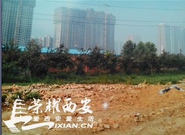 实名举报新房村村主任李振气侵占集体土地建高