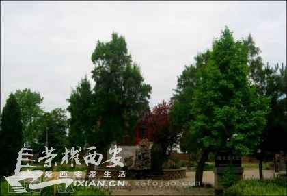 沣河西岸古长安平等寺历史渊源-与良家滩国际