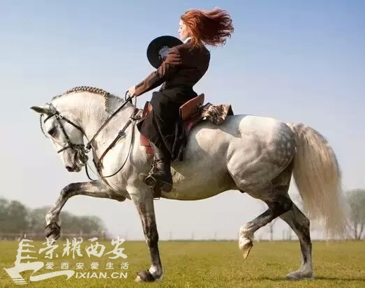 中国汽车教练是说相声的出身,不服来辩。-买车