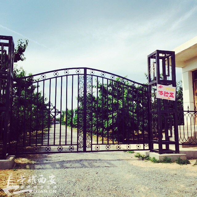 朗农有机樱桃采摘节--有幸跟随荣耀网的小伙伴