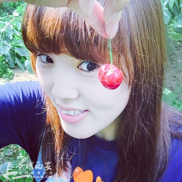 朗农有机樱桃采摘节--有幸跟随荣耀网的小伙伴