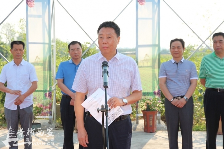 户县举行葡萄市级农业标准化示范区建设启动仪