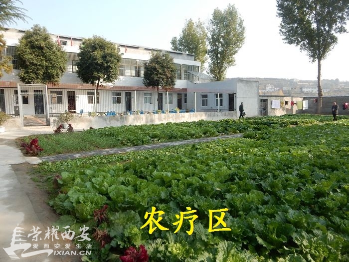 秋高气爽心灿烂,欢乐包子托养院-西安拍客|荣耀