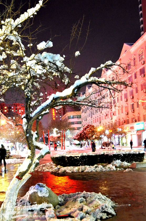 雪夜长安-西安拍客|荣耀西安网|西安论坛-爱西安
