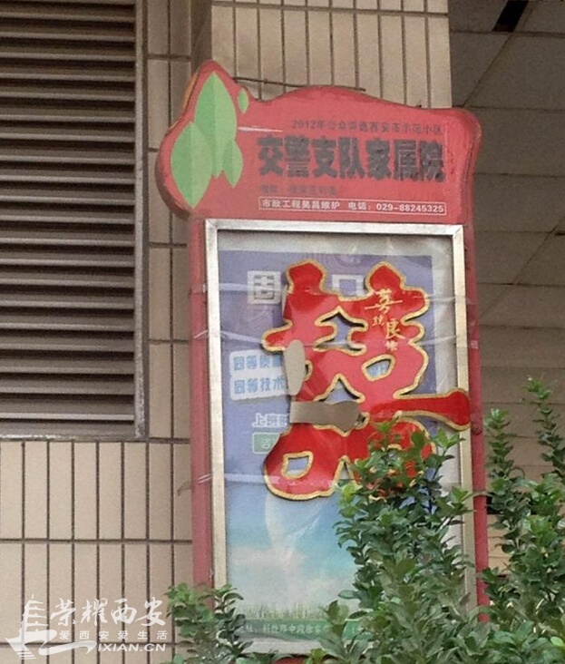 交警大队家属就可以随意停车吗?科技路交警大