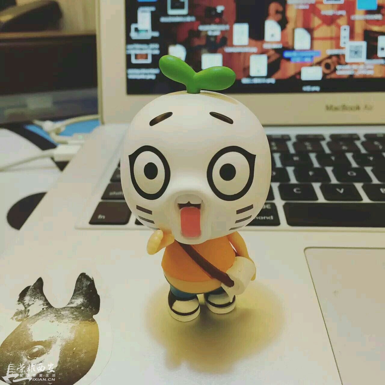 大家好我是王尼玛-微分享|荣耀西安网|西安论坛