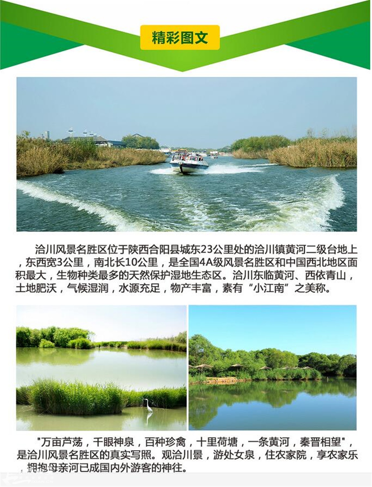 合阳人口网_摘草莓的合阳人,都看看吧(2)