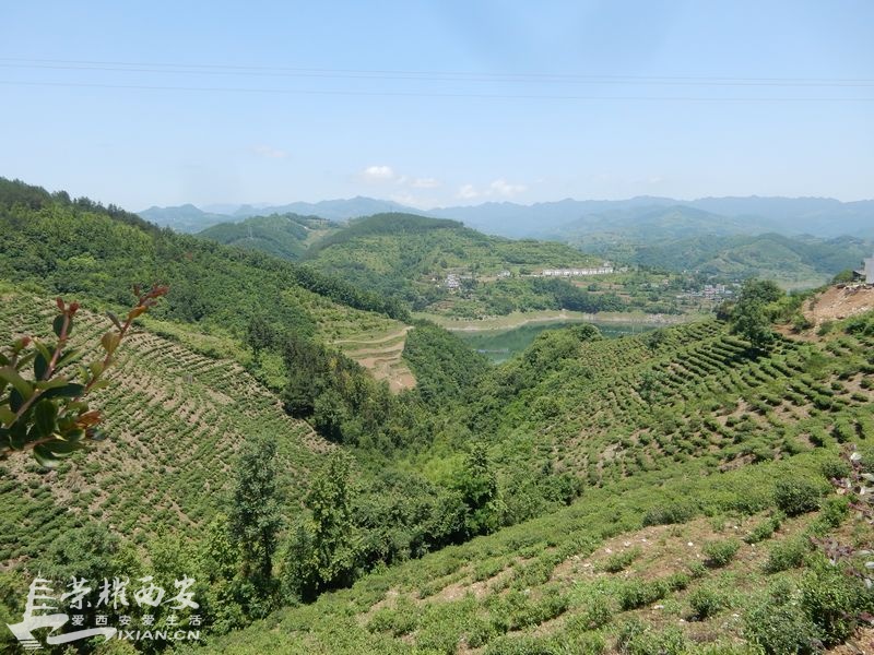 中国最美小镇-流水镇品全鱼宴-你吃了么|荣耀西