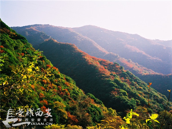 016观太白攻略周边,红河谷是近期西安积雪旅宝鸡至安康自驾游胜景图片