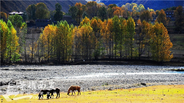 去西藏自驾游路上的人间天堂,川藏线稻城亚丁