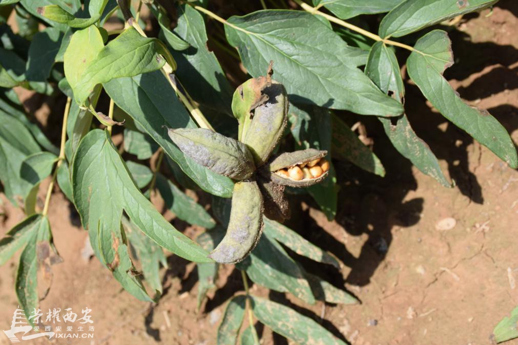 西安建筑科技大学信息与控制工程学院2016年