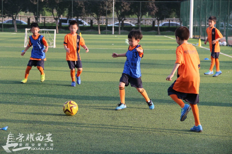 拉玛U9、U13足球队火热招募开启,每位喜爱足