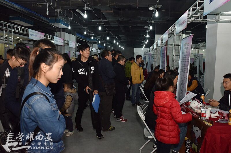 西安国际港务区秋季招聘会昨举行应聘人数达8