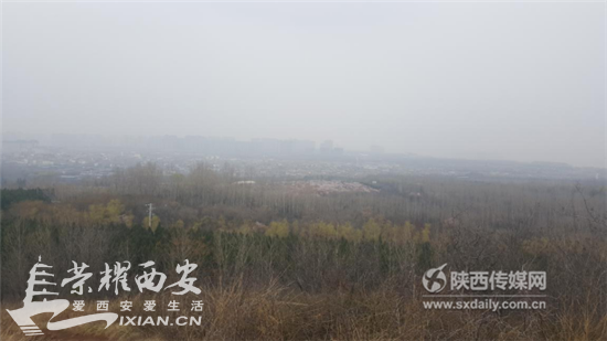 曲江三兆村村民三年未领到百万元土地补贴不断