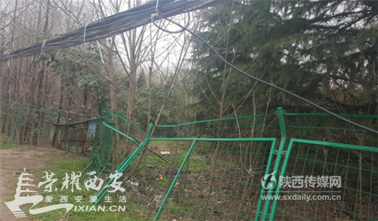 曲江三兆村村民三年未领到百万元土地补贴不断