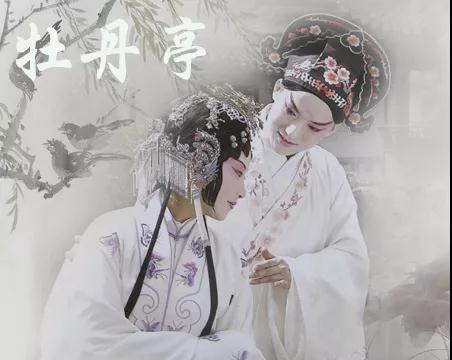 悦读曲江 | 那年花开月圆时,唯有深情最动人 - 朝