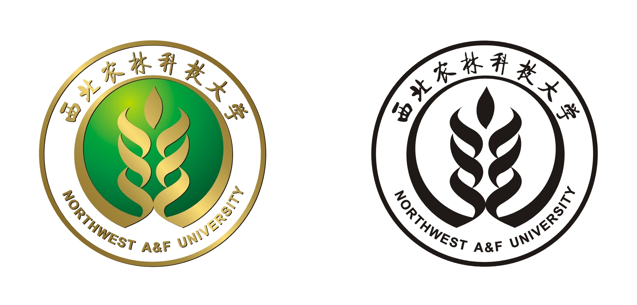 -- 陕西省内拥有二级国家重点学科大学名单 !--