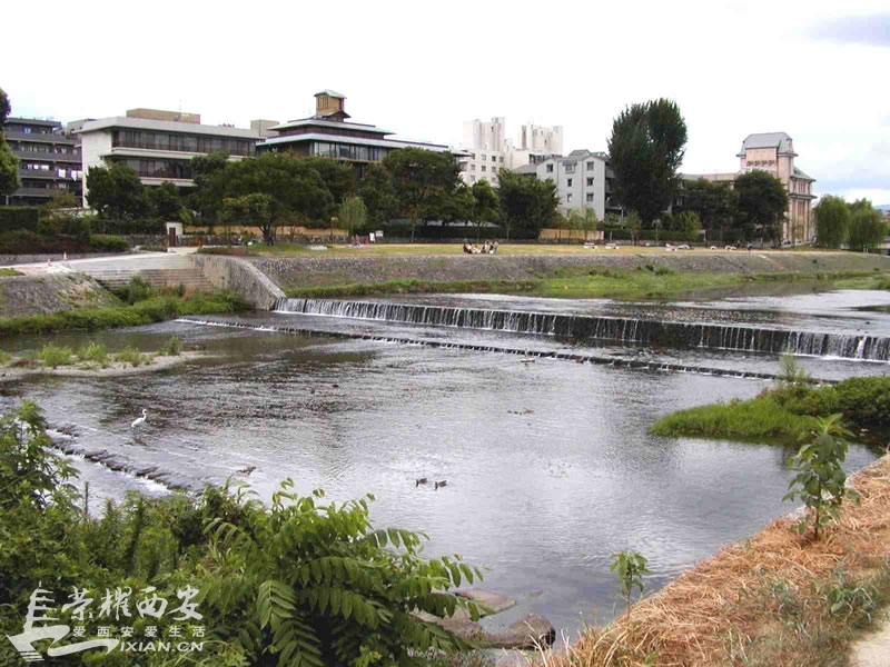 渭河西安段综合改造模式-城市发展|荣耀西安网