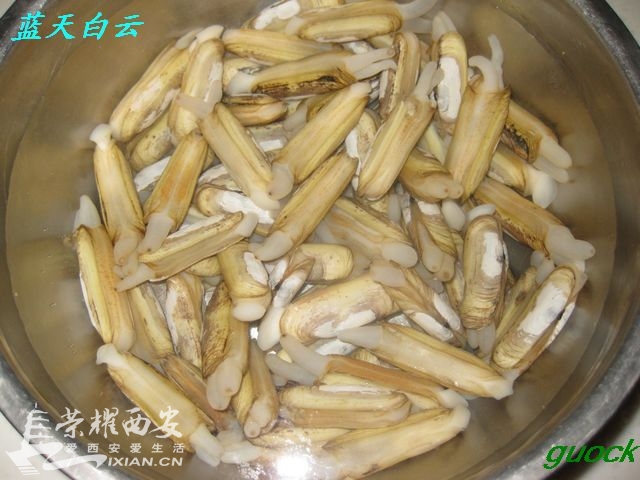 蛏子是海鲜么_辣炒蛏子_烤大蛏子