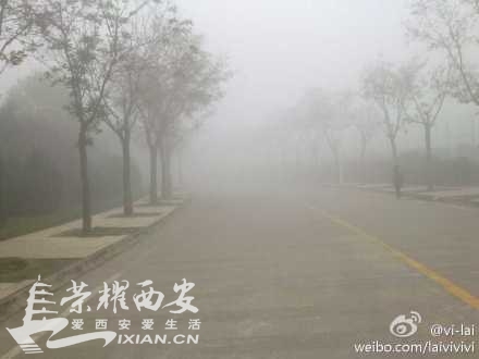 今早西安出现大雾天气 咸阳机场所以航班延迟