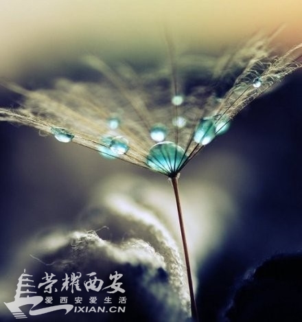 回忆里有相同镜头,现实是不同出口-交友征婚|荣