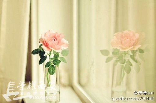 回忆里有相同镜头,现实是不同出口-交友征婚|荣