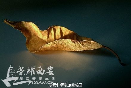 回忆里有相同镜头,现实是不同出口-交友征婚|荣