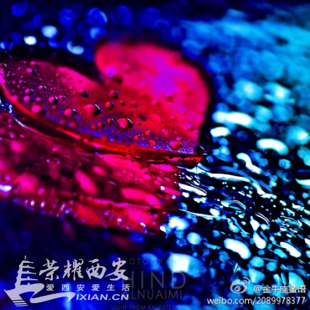 回忆里有相同镜头,现实是不同出口-交友征婚|荣