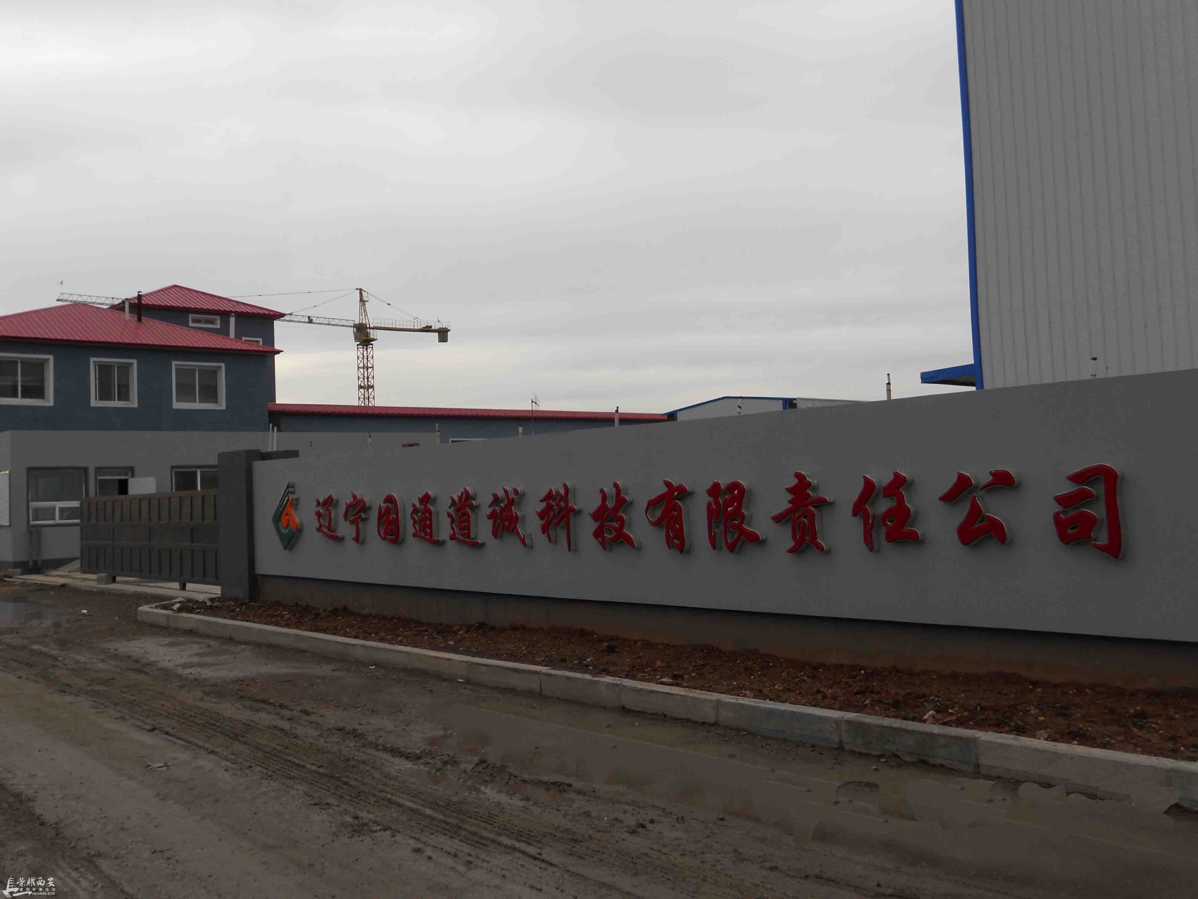 国琳也要上市了?-城市发展|荣耀西安网|西安论