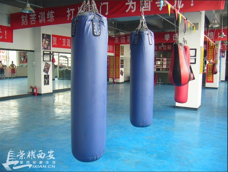 西安支守安职业拳击俱乐部 - 西安拍客|荣耀西安