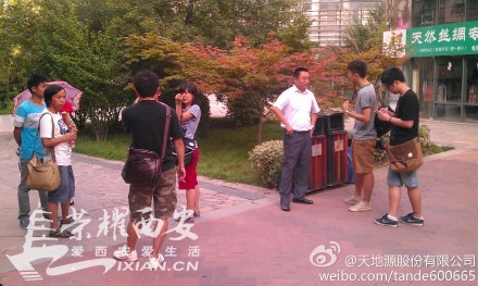 枫林绿洲流浪狗兄弟已被救出 附都市快报新闻