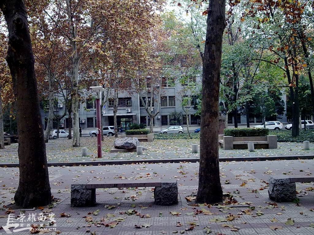 【百年西大】-- 纪念流逝的青春岁月-西安拍客