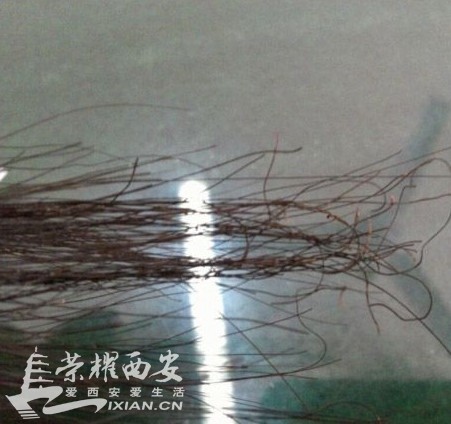 <em>为啥</em>现在有的人这么变态,烧<em>我的头发</em>很有快感