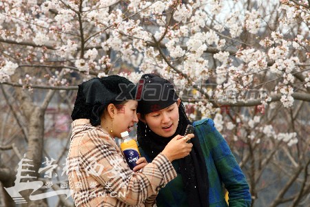 西安市空气质量有所好转部分监测点PM2.5为良