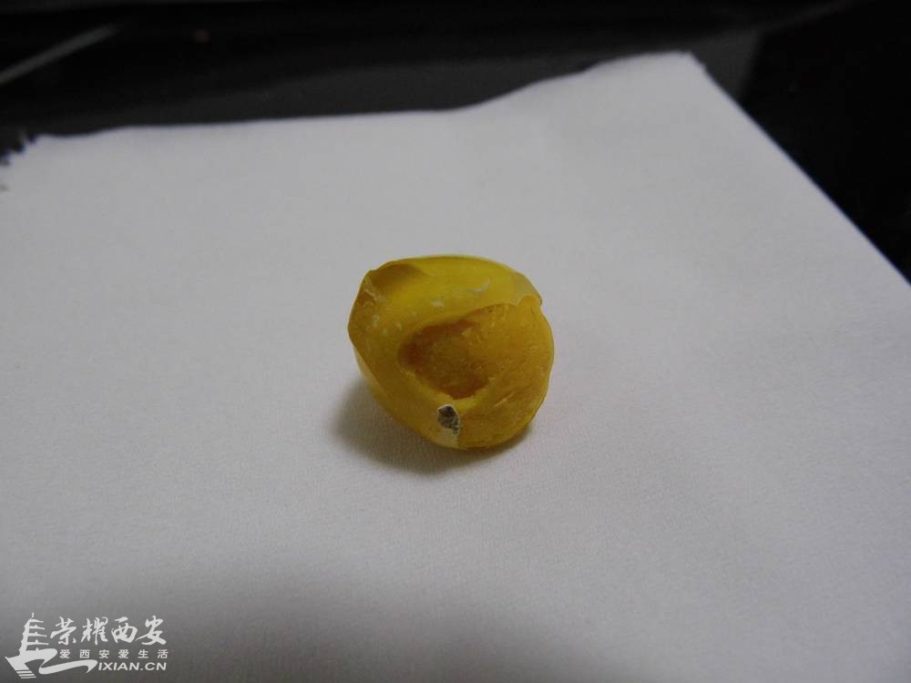 【 聚焦315】给宝宝天天吃的鹌鹑蛋你见过这样