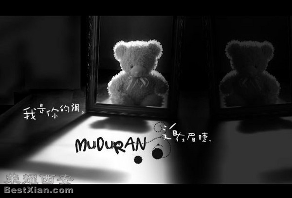 点击图片查看详情 是不是爱情来过 影音娱乐 西安人气社区 Discuz