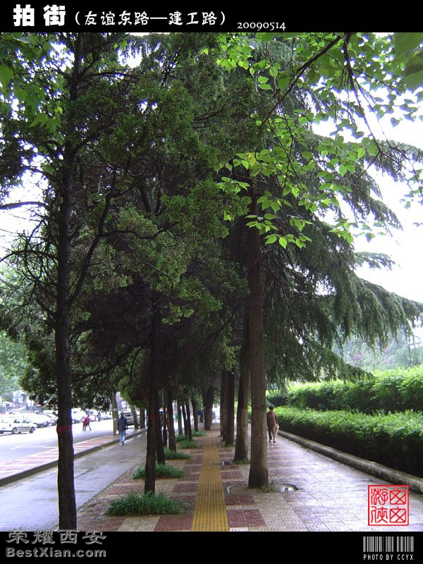 街拍--友谊东路&建工路-西安拍客|荣耀西安网