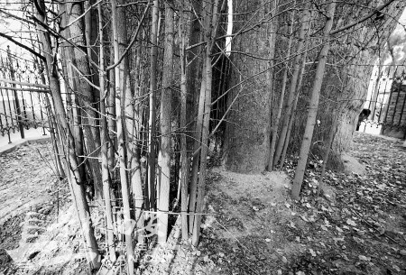 子午古镇_南北交通咽喉 历代军事要地-城市发