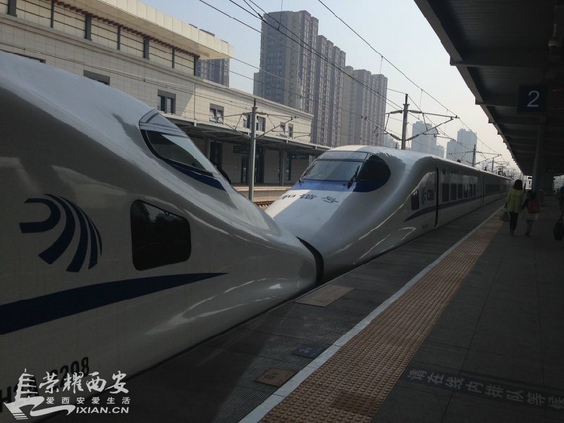 带鱼多少钱一斤呢?