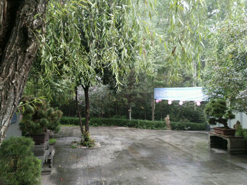 长乐公园里新建的品格心智幼儿园